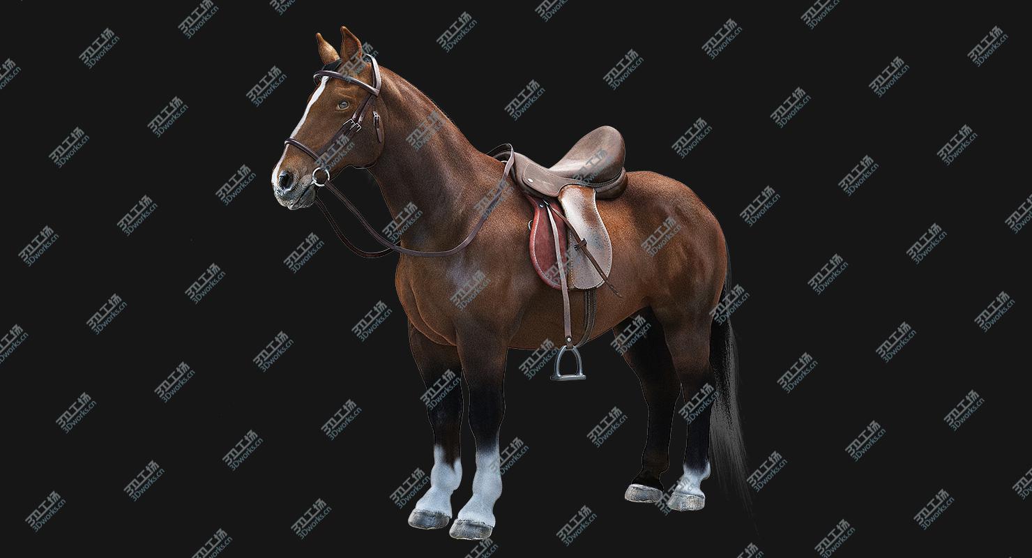 images/goods_img/2021040235/Saddled Horse/1.jpg